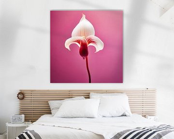 Portrait d'une fleur d'orchidée sur Virgil Quinn - Decorative Arts