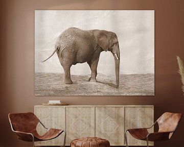 Olifant in sepia van Jose Lok