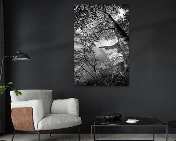 Kreidefelsen auf der Insel Rügen im Sonnenlicht in schwarzweiß von Manfred Voss, Schwarz-weiss Fotografie