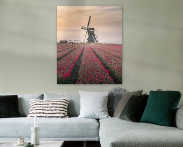 Paysage de tulipes néerlandais sur Sidney van den Boogaard