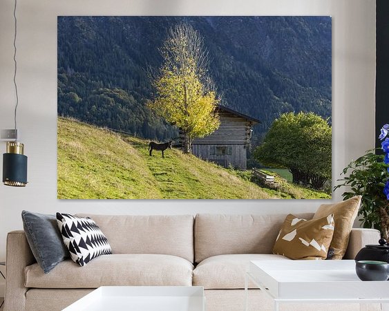 Aperçu de la chambre