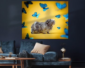 Guinea pig among butterflies by Marloes van Antwerpen