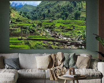 Rice fields near Sapa in Vietnam by Roland Brack