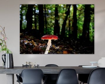 Sprookjesachtige paddenstoel van Thomas Jäger