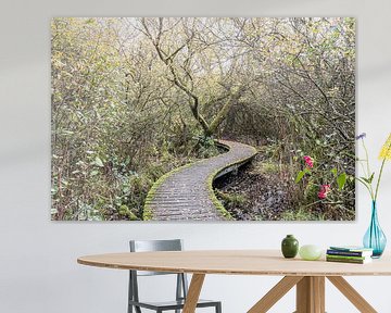 Herbst im Naturschutzgebiet De Moerputten bei Den Bosch von Photolovers reisfotografie