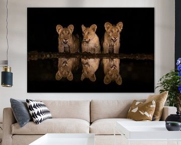 Three cubs by a lake at night