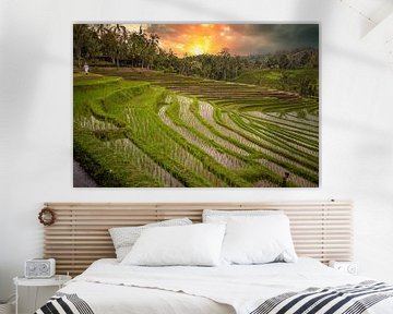 Rizières en terrasses fraîches et vertes à Bali, Indonésie sur Fotos by Jan Wehnert