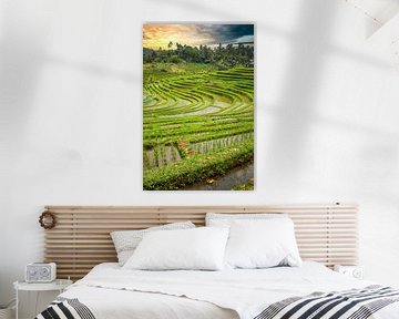 Frisgroene rijstterrassen op Bali, Indonesië van Fotos by Jan Wehnert