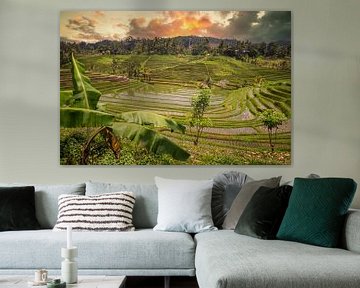 Fresh green rice terraces in Bali, Indonesia by Fotos by Jan Wehnert