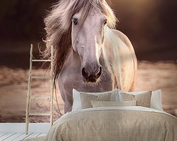 Spanish stallion Preferido | Horse | Sunset | horse photography | photo wallpaper by Laura Dijkslag