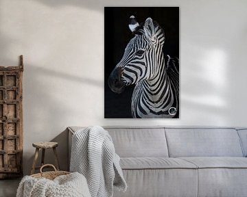 Zebra van Kimberly de Jager