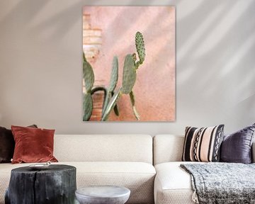 Cactus met roze muur in Spanje van Sandra Hogenes