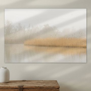 Schilfgürtel im Biesbosch