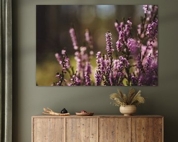 Buisson d'automne violet sur Merlijn Arina Photography