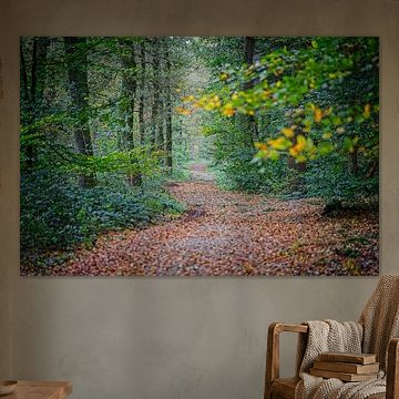 Herbstfarben des Schwarzwassers