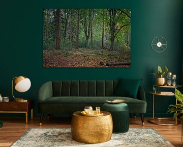 Herfstkleuren van het Zwart Water van Jos Saris