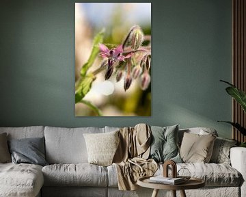 Een speling van de natuur, een valse kleur in bernagie van Harald Schottner