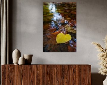 Geel blad in de vorm van een hart drijvend in het water van Chihong