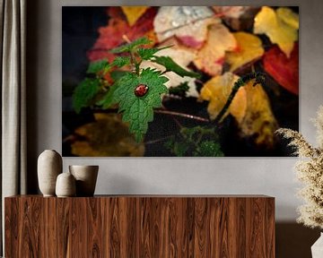 Lieveheersbeestje op een blad tegen een kleurrijke herfst achtergrond van Chi