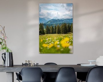 Blick mit Löwenzahn auf die Allgäuer Alpen und das Kleinwalsertal von Leo Schindzielorz