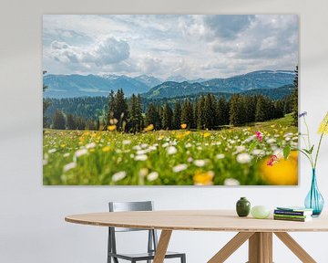 Uitzicht met paardenbloem op de Allgäuer Alpen en het Kleinwalsertal van Leo Schindzielorz