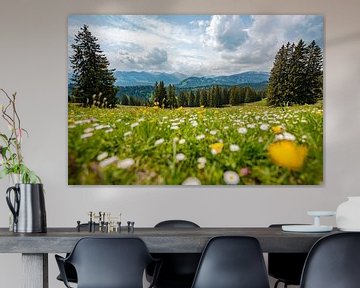 Uitzicht met paardenbloem op de Allgäuer Alpen en het Kleinwalsertal van Leo Schindzielorz