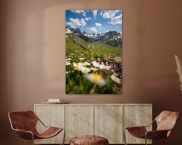 Vue fleurie sur les Alpes du Lechtal et le Valluga sur Leo Schindzielorz