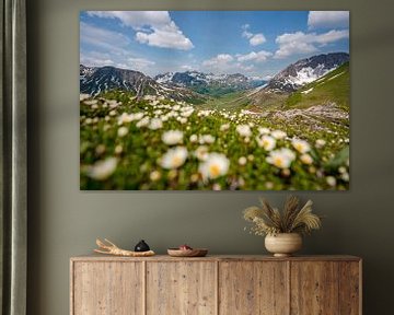 Blumige Aussicht auf die Lechtaler Alpen