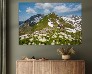 Bloemrijk uitzicht op de Lechtaler Alpen en de Stuttgarter Hütte van Leo Schindzielorz