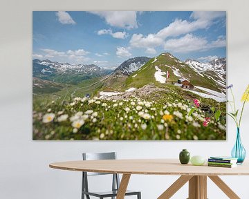 Blumige Aussicht auf die Lechtaler Alpen und die Stuttgarter Hütte von Leo Schindzielorz