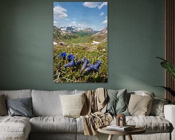 Blumige Aussicht mit Enzian auf die Lechtaler Alpen und die Stuttgarter Hütte