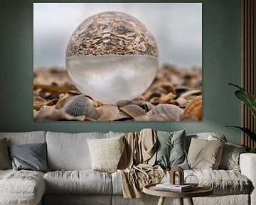 Glass ball in a pile of shells by Stephan Zaun