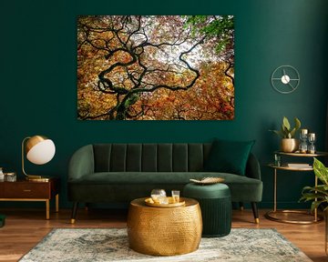 Mooi kronkelende boom in herfstkleuren van Chihong