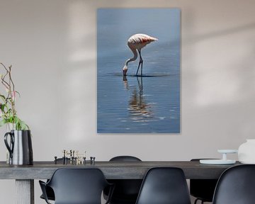 Flamingo van Andreas Muth-Hegener
