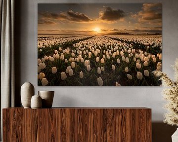 Witte Tulpen in een Gouden Gloed van HaGee_Photo