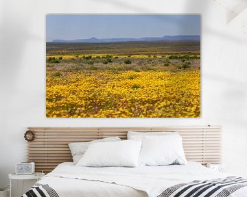 Namakwaland - bloemenparadijs van Marika Rentier