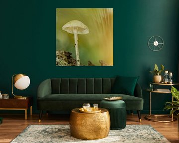 Bring the tranquil autumn atmosphere into your home with these mushrooms by Ad Huijben