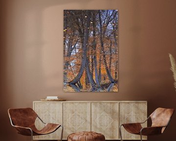 The Twickeler tree, reflection of trees in stream in autumn by Marly De Kok