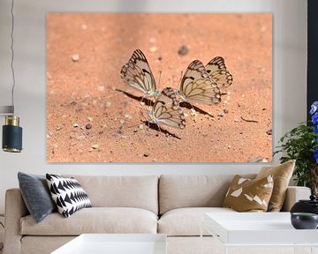 Vlinders op zand van Andreas Muth-Hegener