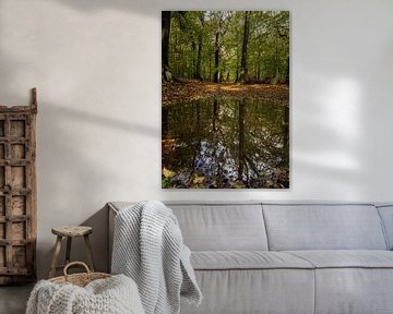 Herfstbos reflecteert in een waterplas van Bram Lubbers