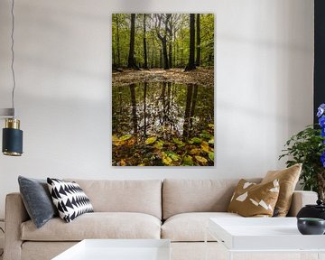 Herbstwald spiegelt sich in einem Teich aus Blättern von Bram Lubbers