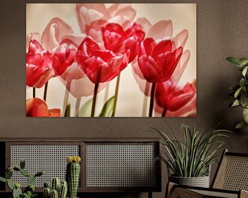 Collage / Mehrfachbelichtung einer Gruppe roter Tulpen von Stefan Dinse