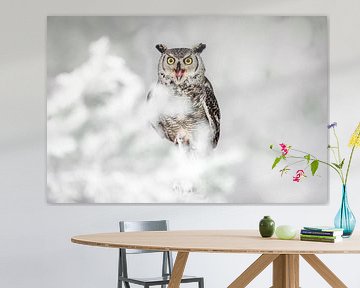 screaming canadian eagle owl by gea strucks