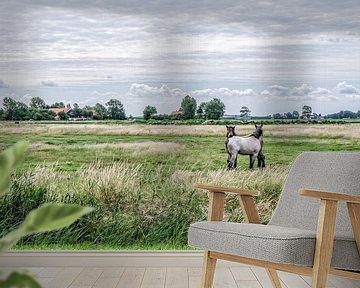 Dutch polder
