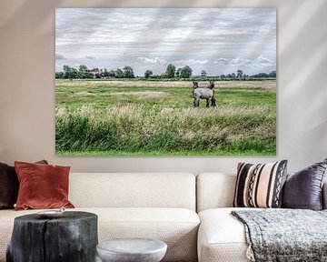 Dutch polder by Wessel Krul