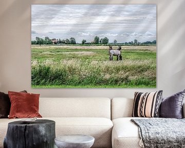 Dutch polder sur Wessel Krul