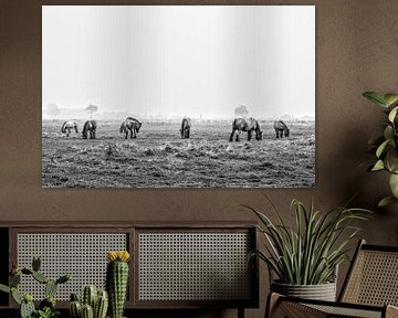 Horses in the polder von Wessel Krul