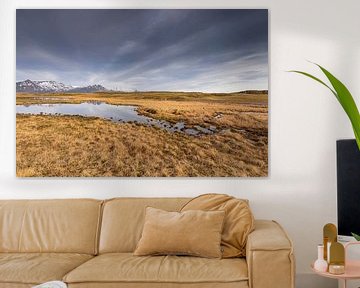 paysage d'herbe en Islande sur gaps photography