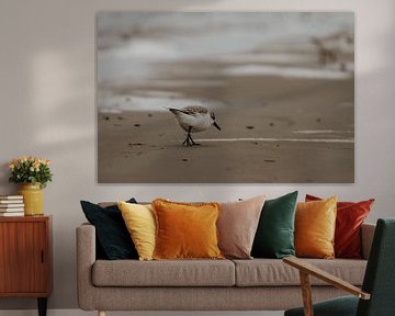 Bird by Inge Pieck