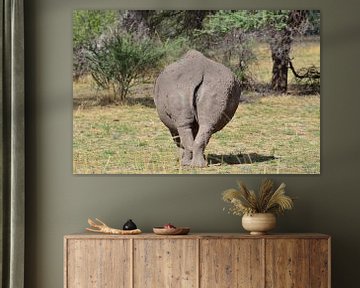 Rhino bum by Andreas Muth-Hegener